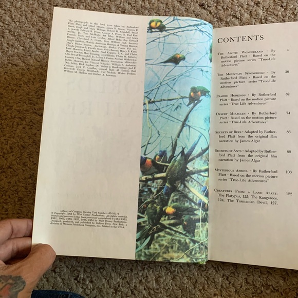 Vintage Wonderful World Of Walt By Disney Boxed Set Of 4 Books - Picture 13 of 15